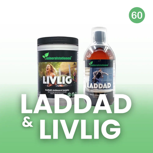 Laddad och Livlig