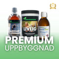 Premium Uppbyggnad